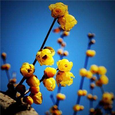 我在古代当公主4399版下载