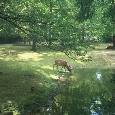 方块君要挺住破解版下载