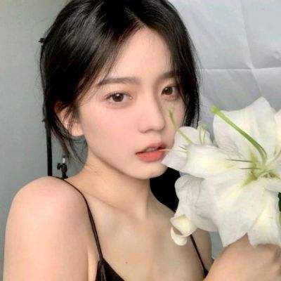 丝路2bt果盘版下载